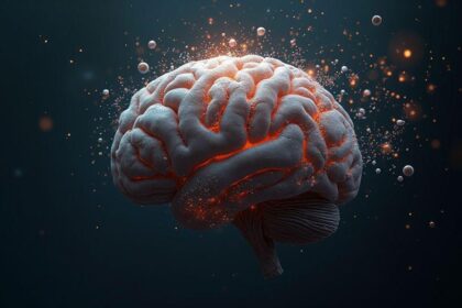 curiosidades-sobre-o-cerebro-humano-que-explicam-memoria-sonhos-e-esquecimento-e-os-segredos-que-a-c