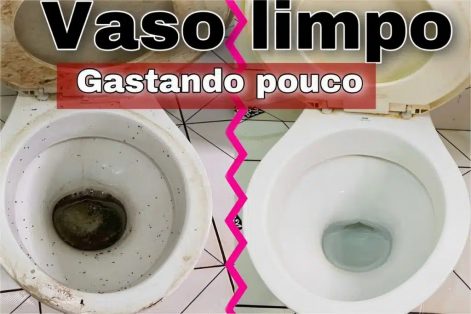 Veja como limpar vaso sanitário encardido e deixá-lo como novo