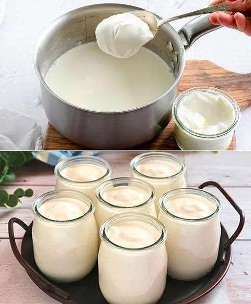 Iogurte grego caseiro com 2 ingredientes