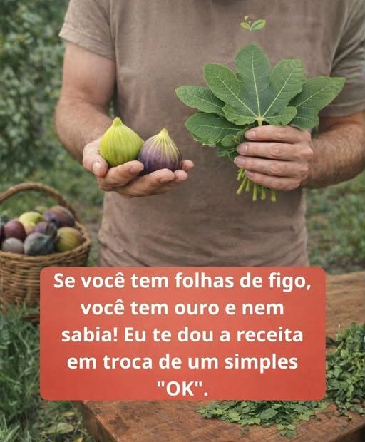 Se você tem folhas de figo, você tem ouro e nem sabia